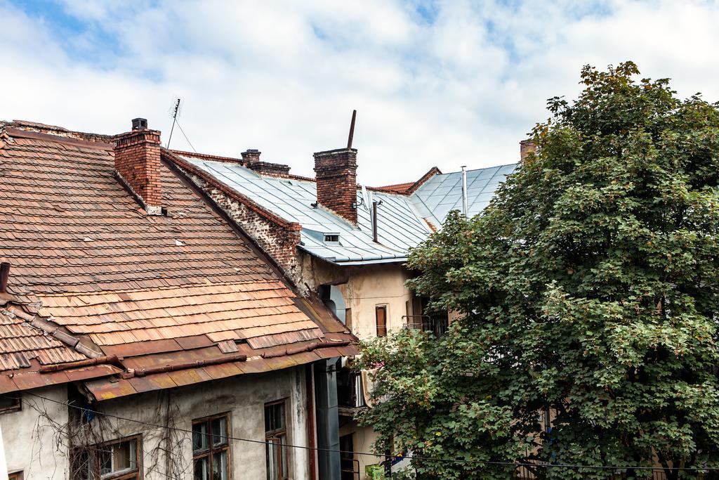 Park Plus Hostel Lviv Buitenkant foto